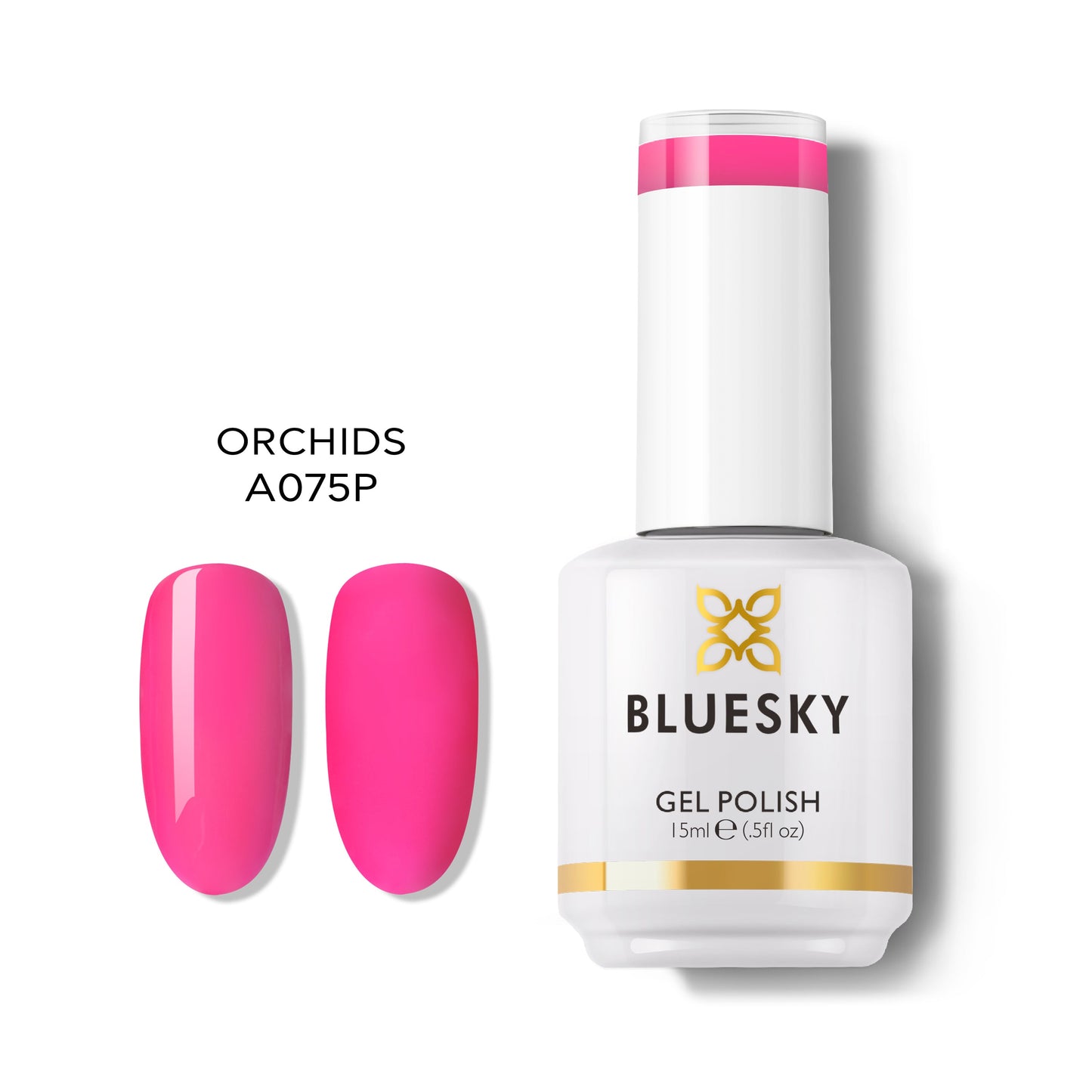 Classic PLUS | ORCHIDS
