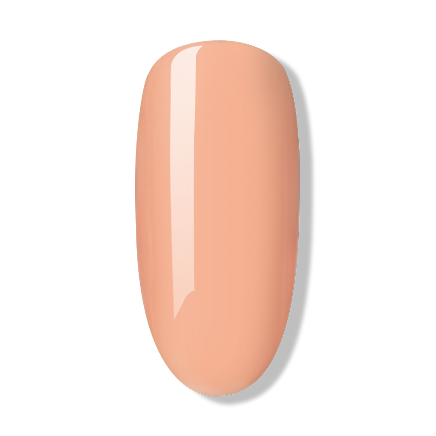 Classic PLUS | PEACH NUDE