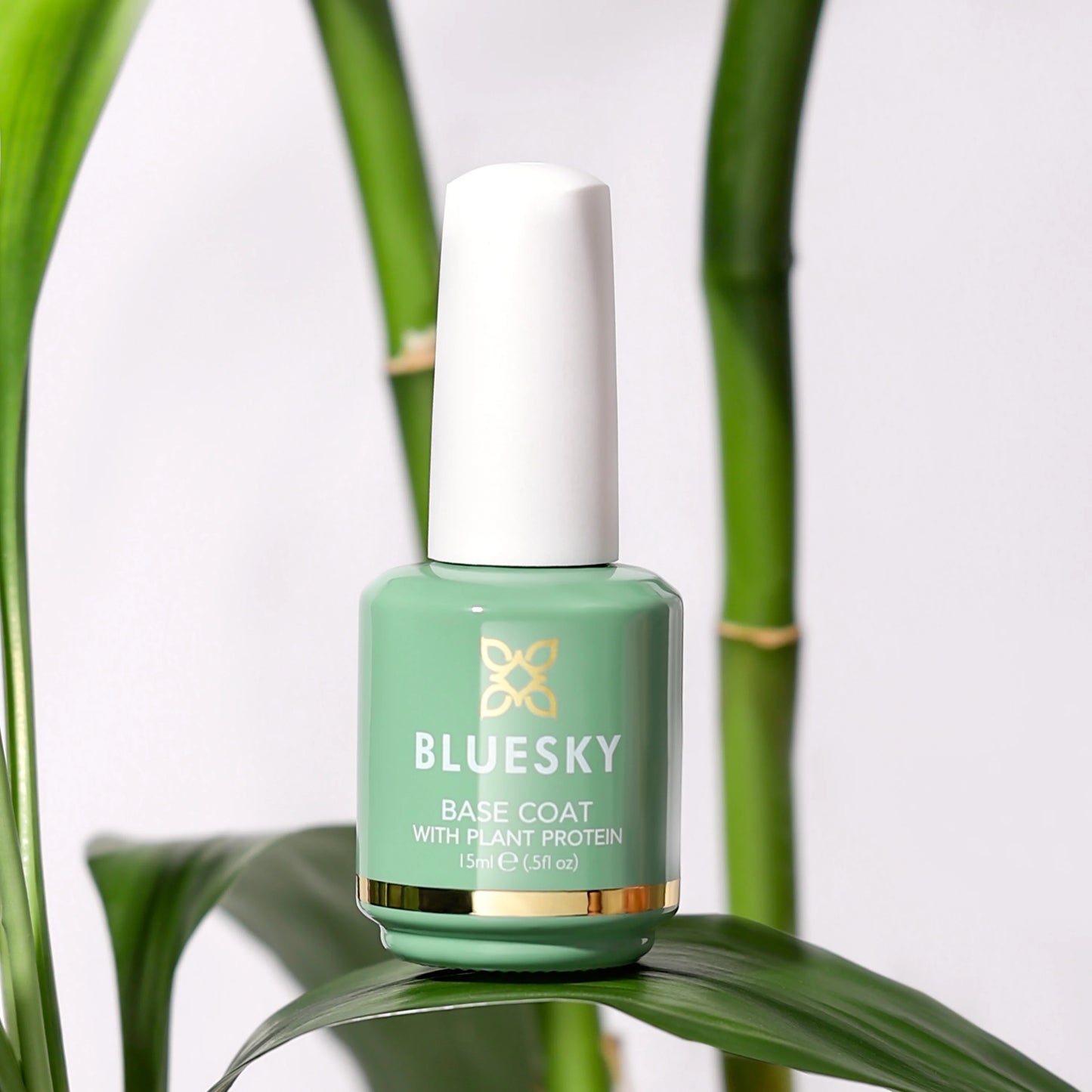 Base Coat With Plant Protein